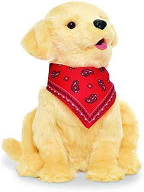 Mascota de Compañía Golden Pup Joy for all